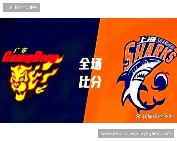 WEC耐力赛激战正酣，厂队竞争火药味十足